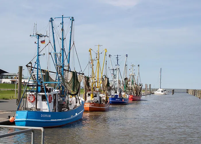 Achteck Am Deich, Graureiherweg 4a بيت للعطل