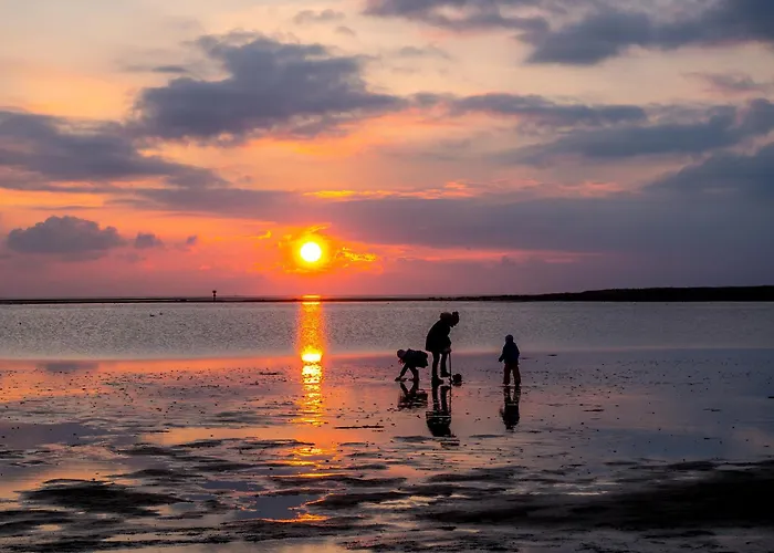 Achteck Am Deich, Graureiherweg 4a بيت للعطل دورم نيوفيلد
