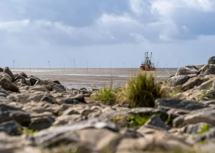 Achteck Am Deich, Graureiherweg 4a *